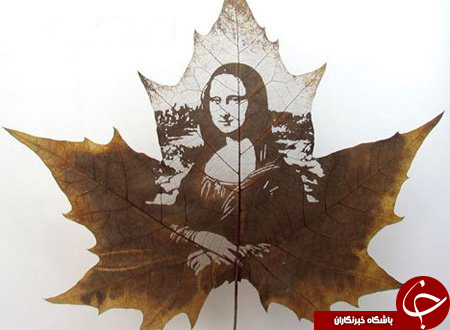 حکاکی روی برگ درختان+عکس