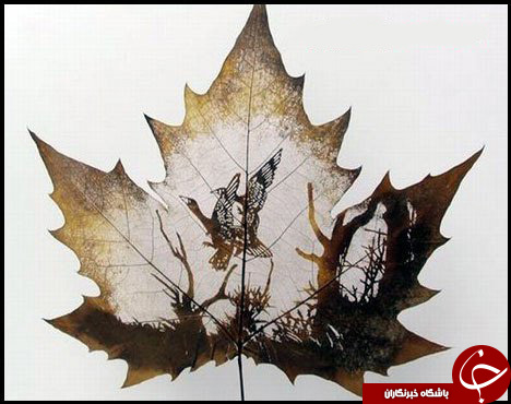 حکاکی روی برگ درختان+عکس
