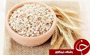 آغاز کشت گندم و جو در خرمشهر