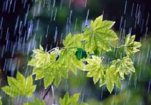 هشدار برای یخبندان شبانه در سنندج