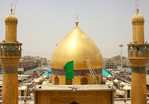 کمک به زیباسازی نجف با انتقال تجربیات پایتخت