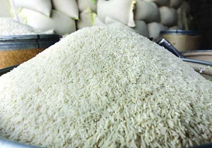 تعادل قیمت‌ها مانعی برای خرید توافقی برنج از سوی دولت