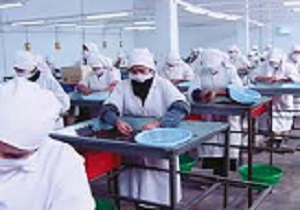 تحقق پنجاه و یک درصدی تعهد اشتغال در قزوین