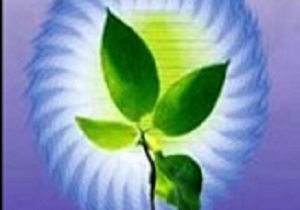 دانش آموز کرمانشاهی رتبه جهانی مخترعین را کسب کرد