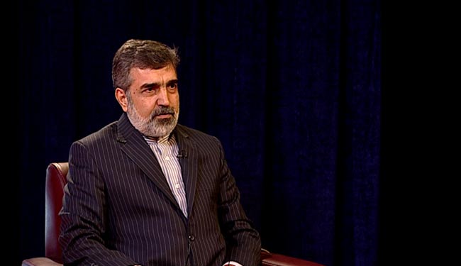 کمالوندی: تمرکز بر جمع&zwnj;آوری سانتریفیوژهای غیرفعال است/ توضیح پیرامون زمان اجرای لغو تحریم&zwnj;ها