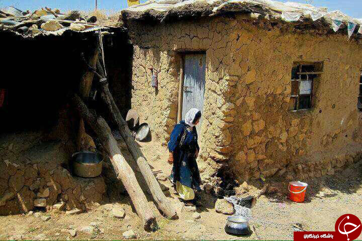 عکس هایی که بوی زندگی می دهد