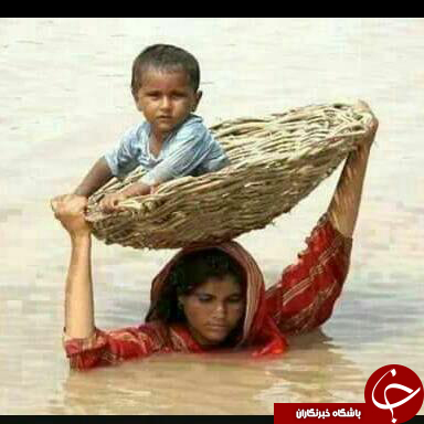 عکس هایی که بوی زندگی می دهد