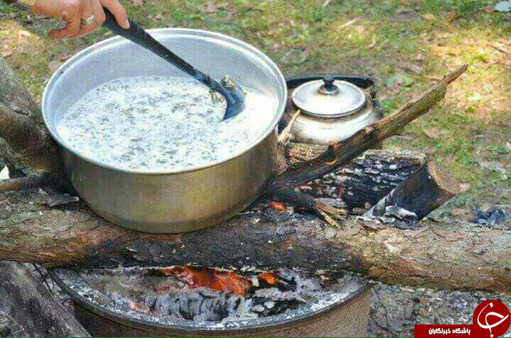 عکس هایی که بوی زندگی می دهد