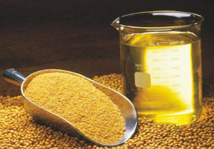 فواید این روغن را برای مغز کودکتان دست کم نگیرید