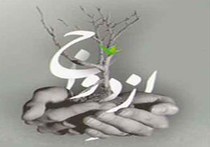 بیمه ازدواج راه اندازی می‌شود