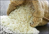 نیازی به واردات برنج نداریم