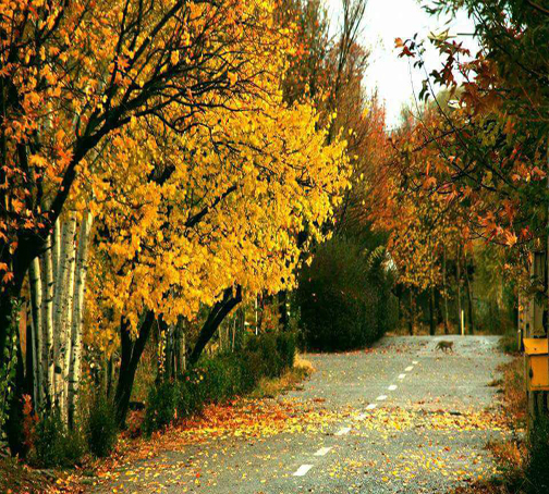 طبیعت پاییزی شهرستان دورود_لرستان +تصاویر