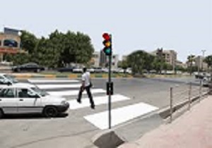 شاخه گلی برای قانون