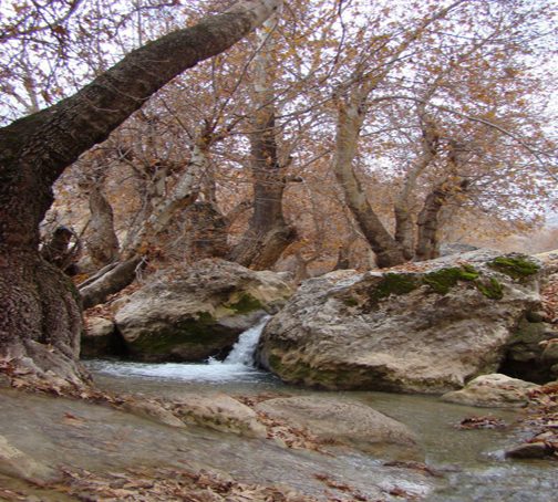 منطقه زیبای بسطام ازتوابع شهرستان الشتر+تصاویر