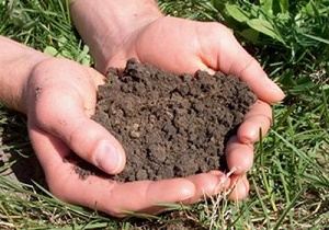 اجرایی شدن لایحه حافظت از خاک از فردا اجرایی شدن لایحه حافظت از خاک از فردا