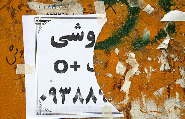 فروشندگان کلیه هم به تلگرام پیوستند