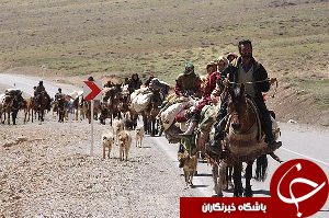 کوچ بیش یک هزار عشایر به شوش