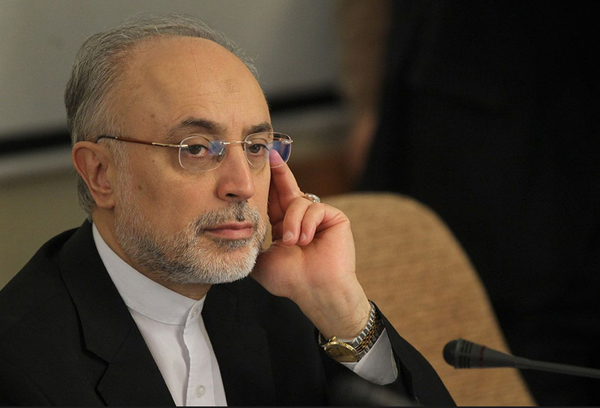 صالحی به سیدحسن نصرالله تسلیت گفت