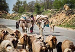 آغاز کوچ عشایر به هرمزگان