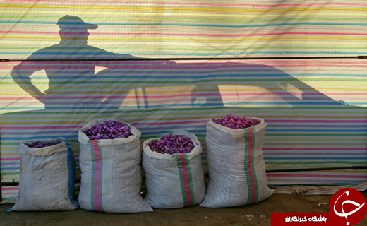 تصاویر ارسالی از شهروندان / از ابوعزرائیل تا شمر! تصاویر ارسالی از شهروندان / از ابوعزرائیل تا شمر!