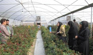 بهره برداری از 84 طرح اقتصاد مقاومتی در شهرستان خمین