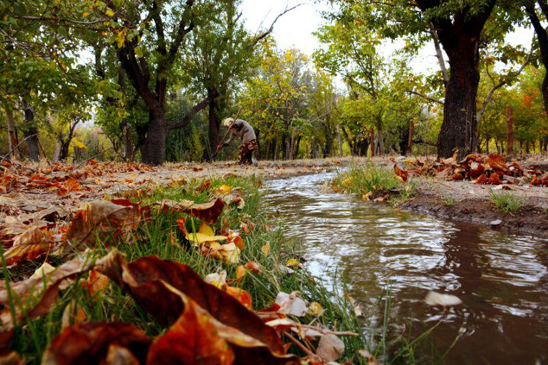 شکوه رنگ آمیزی طبیعت در شهربابک + تصاویر