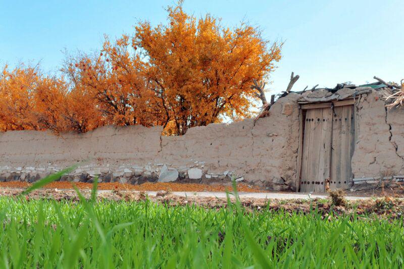شکوه رنگ آمیزی طبیعت در شهربابک + تصاویر