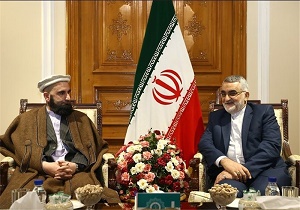 سیاست آمریکا همواره در جهت ایجاد ناامنی در منطقه و دشمن‌آفرینی میان مسلمانان بوده است