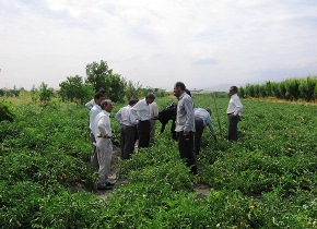آمارگيری از کشاورزان 70 روستای گلستان