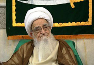 توصیه آیت الله صافی به خادمان اربعین