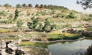 سقوط درختان در پارک لویزان
