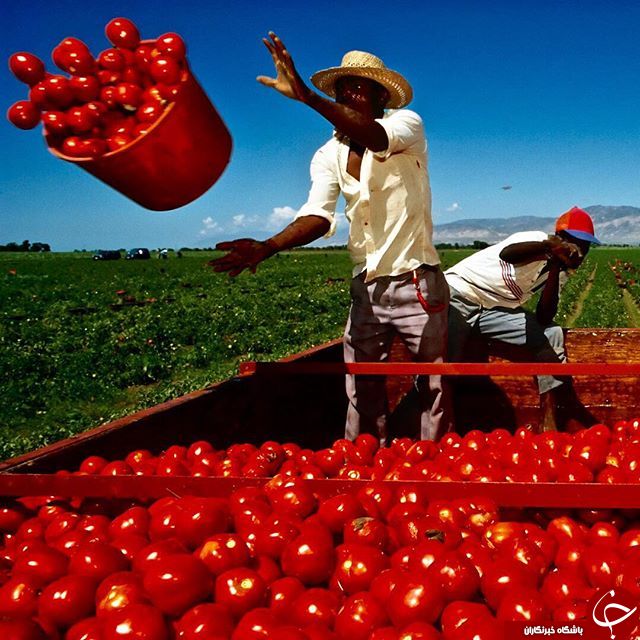 نشنال جئوگرافی