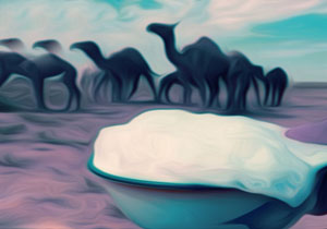 حکایت ضرب&zwnj;المثل &laquo;نه شیر شتر، نه دیدار عرب&raquo; چیست؟