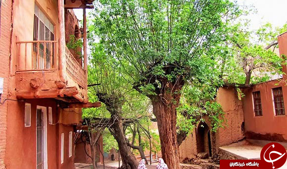 عکس هایی که بوی امید و زندگی می دهند