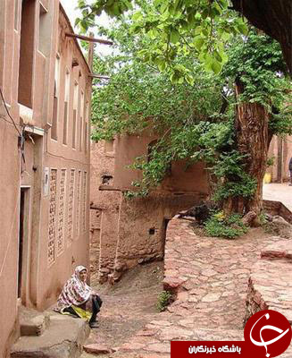 عکس هایی که بوی امید و زندگی می دهند