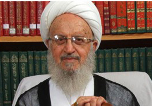 آيت الله مکارم شيرازی: آمار اعتياد زنان و کودکان وحشتناک است