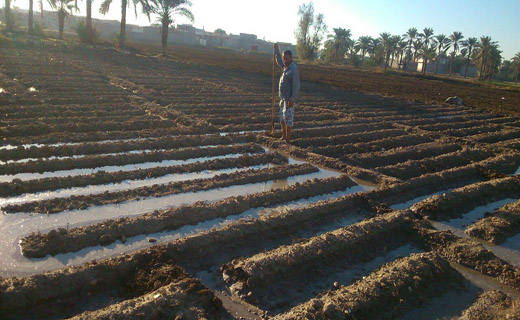 از جیب ضدسرقت تا شیطان دریایی