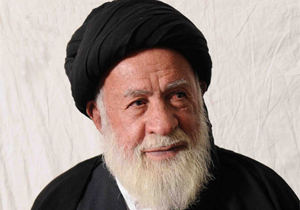 حجت الاسلام سید محمد مرتضوی بنی، چشم از جهان فرو بست