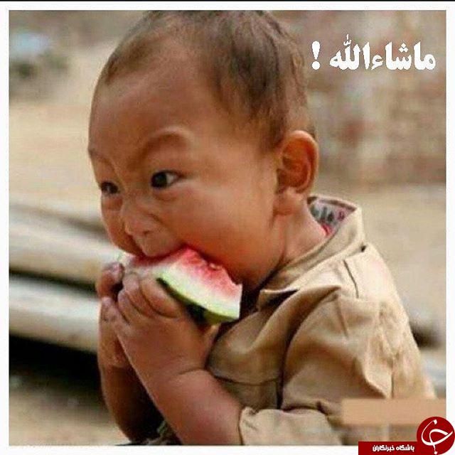 توت فرهنگی/ ورژن جدید توالت / اعتراف هندونه ای ضرغامی!_بخش دهم