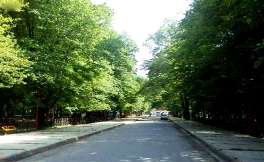 پارک جنگلی قرق؛ زیستگاه&zwnj; گوزن&zwnj;های قرمز ایرانی