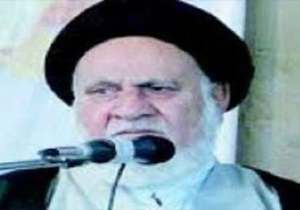 تشکیل بسیج بیانگر دوراندیشی امام خمینی (ره) است