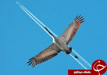 عکاسی در لحظه مناسب (قسمت دوم )