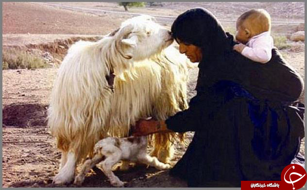 عکس هایی که بوی امید و زندگی می دهند (قسمت هشتم)