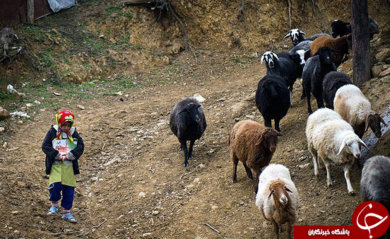 عکس هایی که بوی امید و زندگی می دهند (قسمت هشتم)