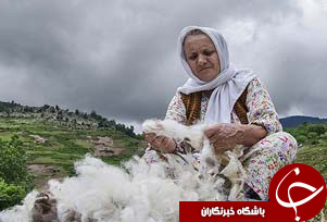 عکس هایی که بوی امید و زندگی می دهند (قسمت هشتم)