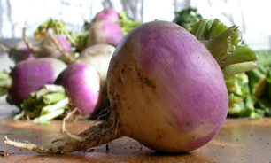 چه کسانی نباید شلغم بخورند؟