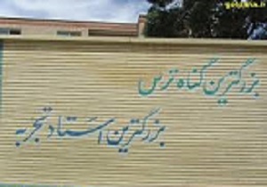 هزینه پاک‌سازی دیوارنوشته ها درقزوین برعهده شهروندان متخلف