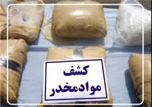 سارقان خودرو در مشهد دستگیر شدند