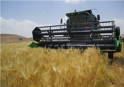 پرداخت 269میلیاردتومان به گندمکاران زنجانی