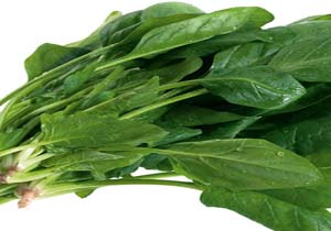 ایجاد سایت الگویی سبزی و صیفی در سوادکوه